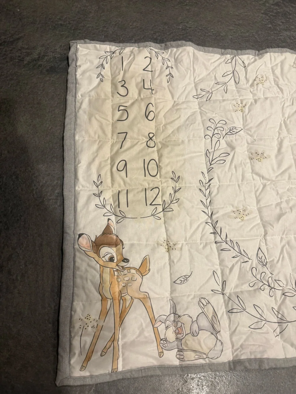 Baby Milestone Quilt